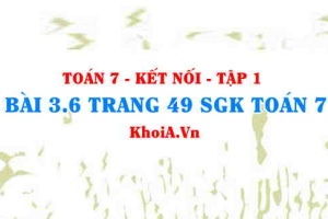 Bài 3.6 trang 49 SGK Toán 7 tập 1 Kết nối tri thức